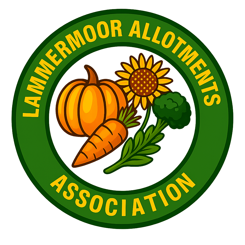 Lammermoor Logo